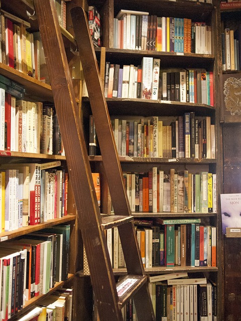 Anabasis Project: escaparate